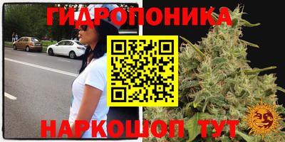 СК Заволжье