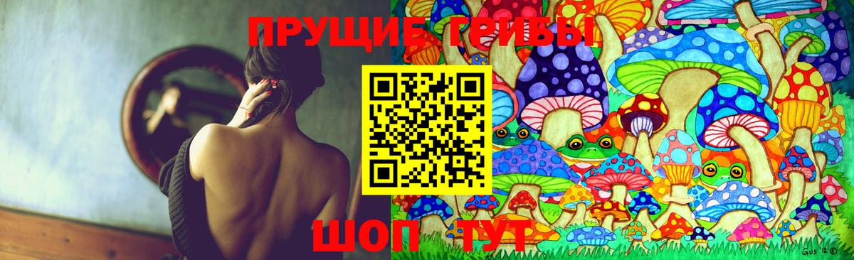 Галлюциногенные грибы GOLDEN TEACHER  Вход с VPN  Галлюциногенные грибы мухоморы  наркота  Мичуринск 